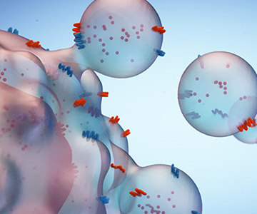 Экзосомы в косметологии